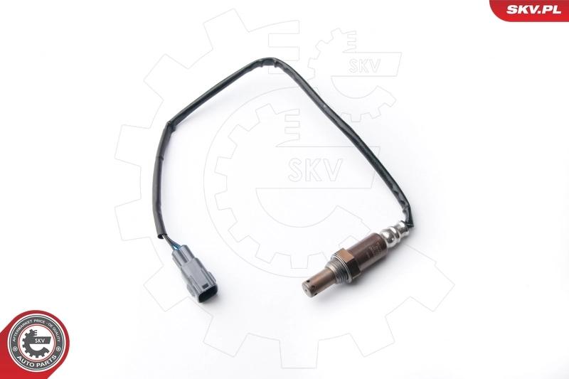 Oxygen Sensor